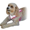 Ruby White Harness Pink